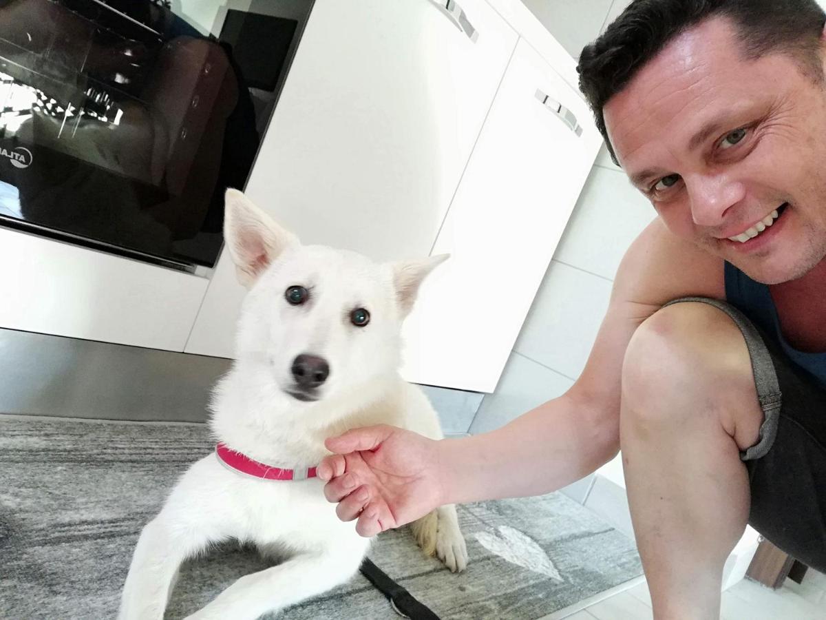 La Casa Di Pamy Apartman Bellaria – Igea Marina Kültér fotó